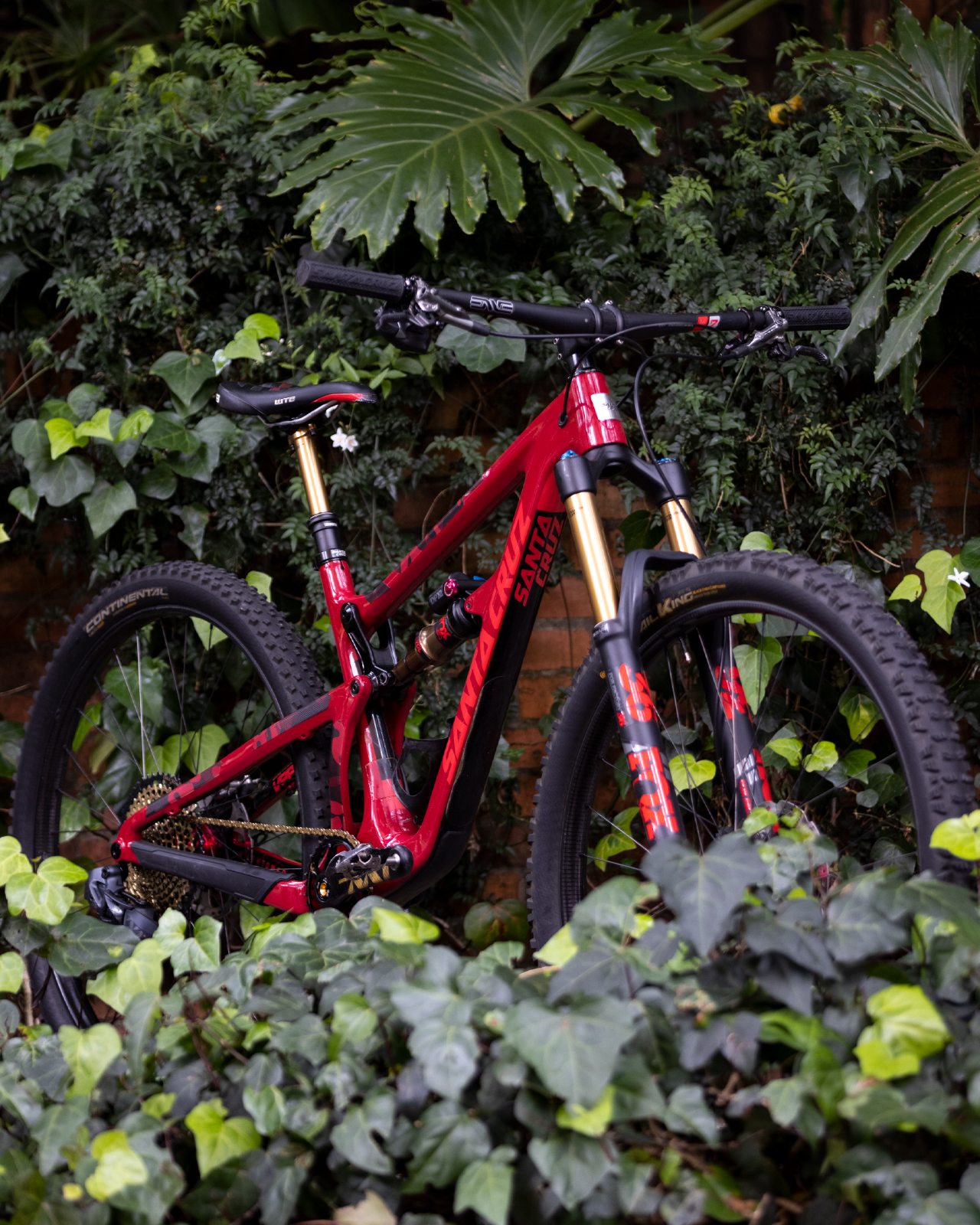 SANTACRUZ4