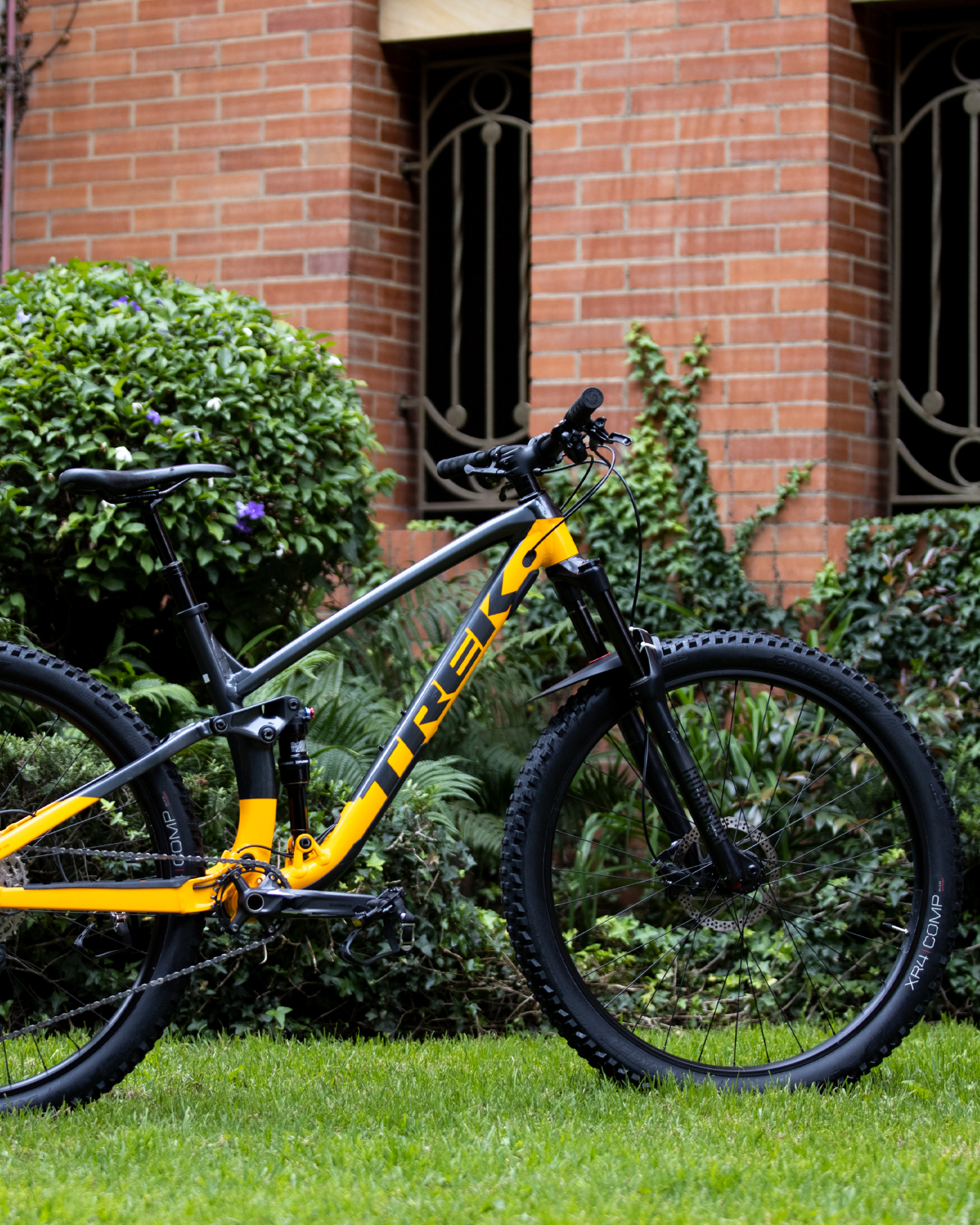 SANTACRUZ97